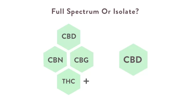 Read more about the article Full-spectrum CBD vs. Isolate | Why does one work better?