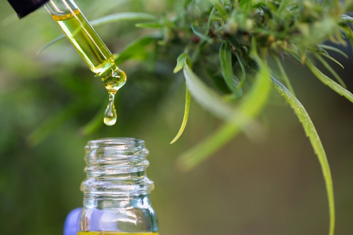 The Different Types of CBD Oil