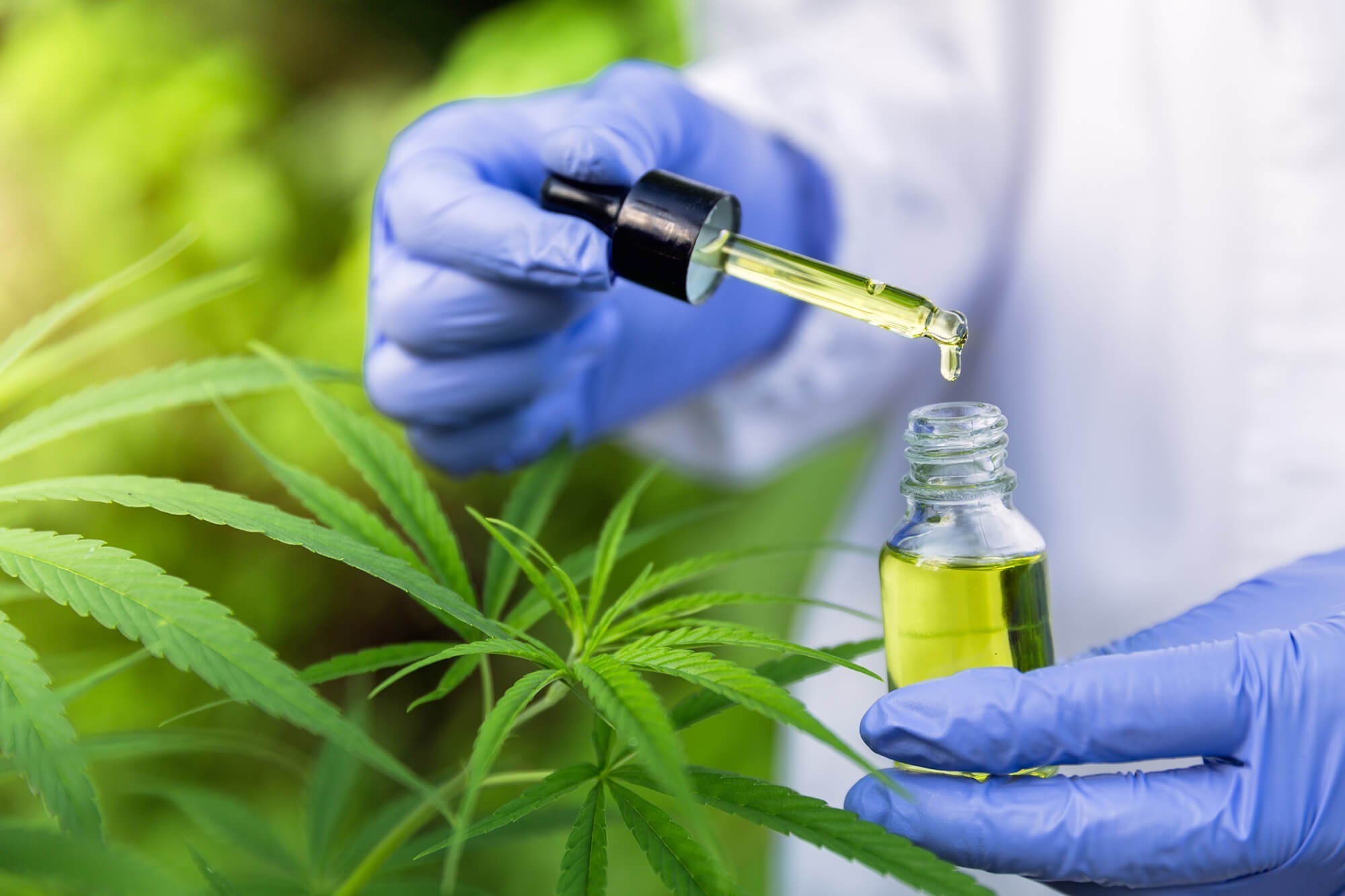 CBD and It’s Role in Cancer Treatment