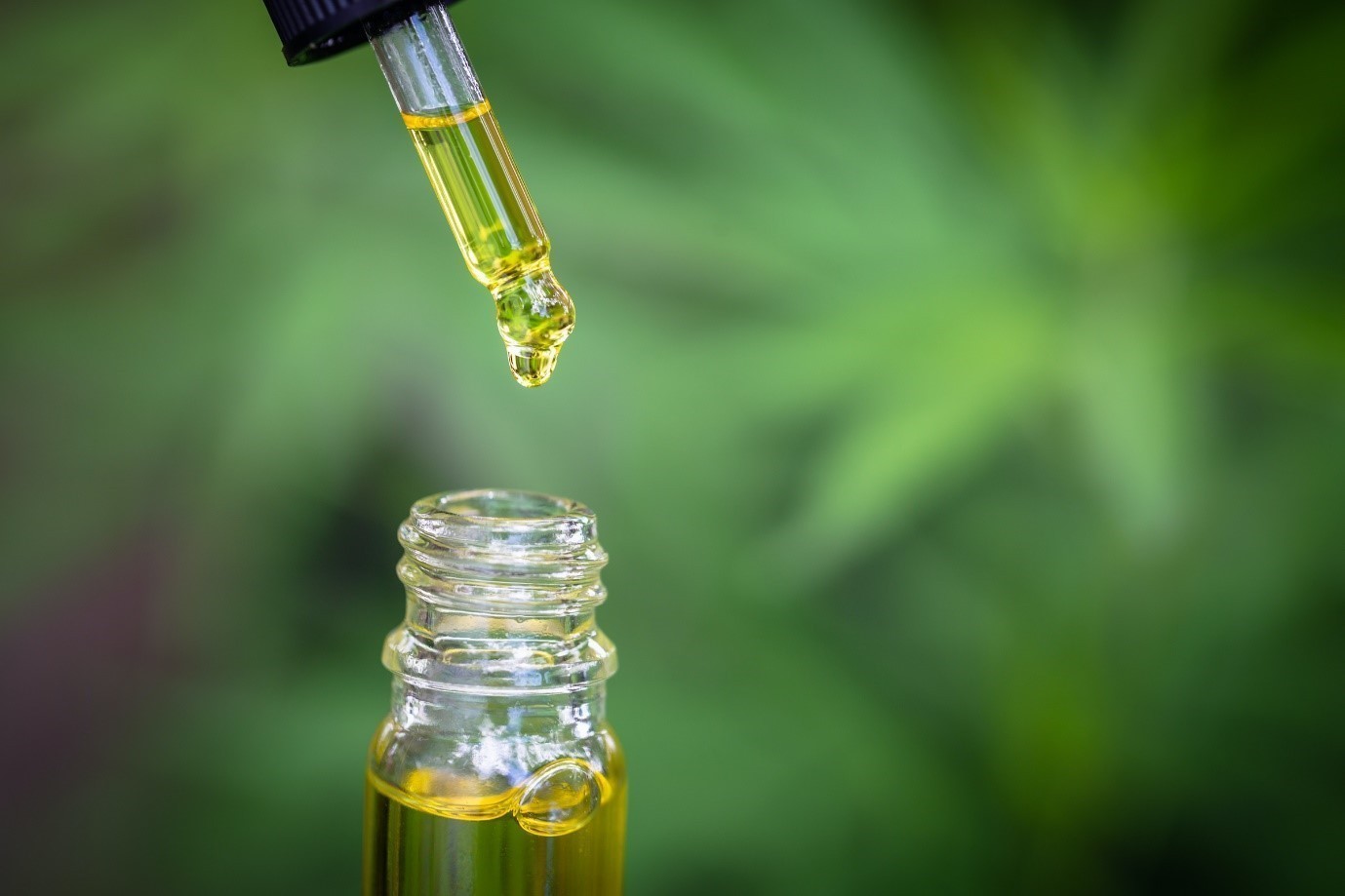 CBD for Stress and Brain health